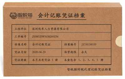 一般纳税人企业代做账服务案例——深圳优车人力资源做账案例\n\n专题 劳务服务行业的税务与账务处理